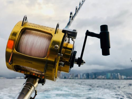 Eco-Friendly Salmon Fishing: Tips for Anglers Eco-Friendly Salmon Fishing: Tips for Anglers